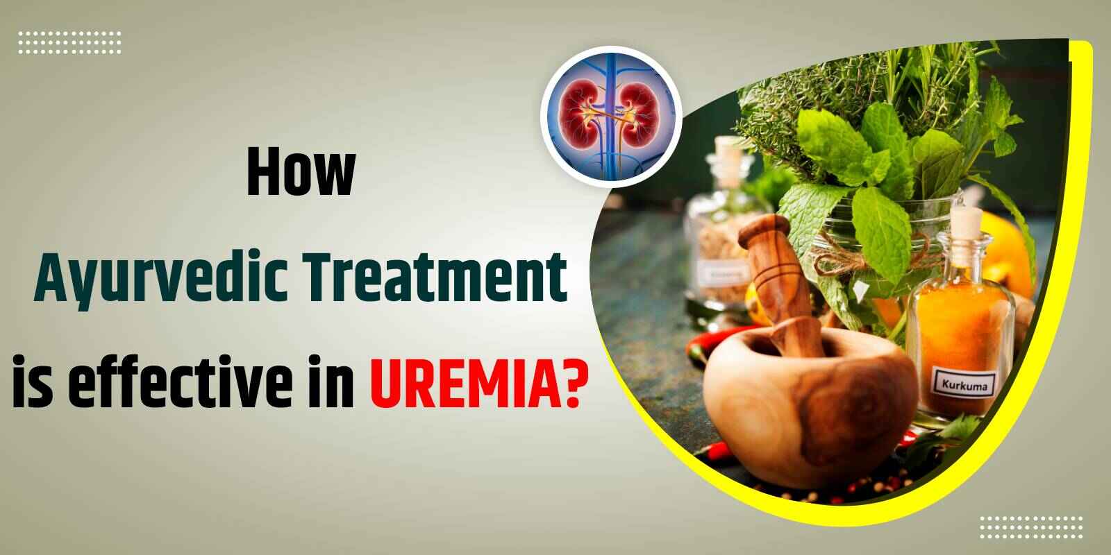 How Ayurvedic Treatment is effective in Uremia?